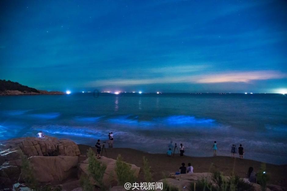 介绍几种医院内部才知道，药店很少推荐的胃病中成药
